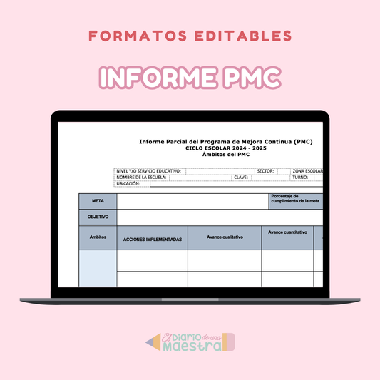 FORMATO PARA INFORME PMC